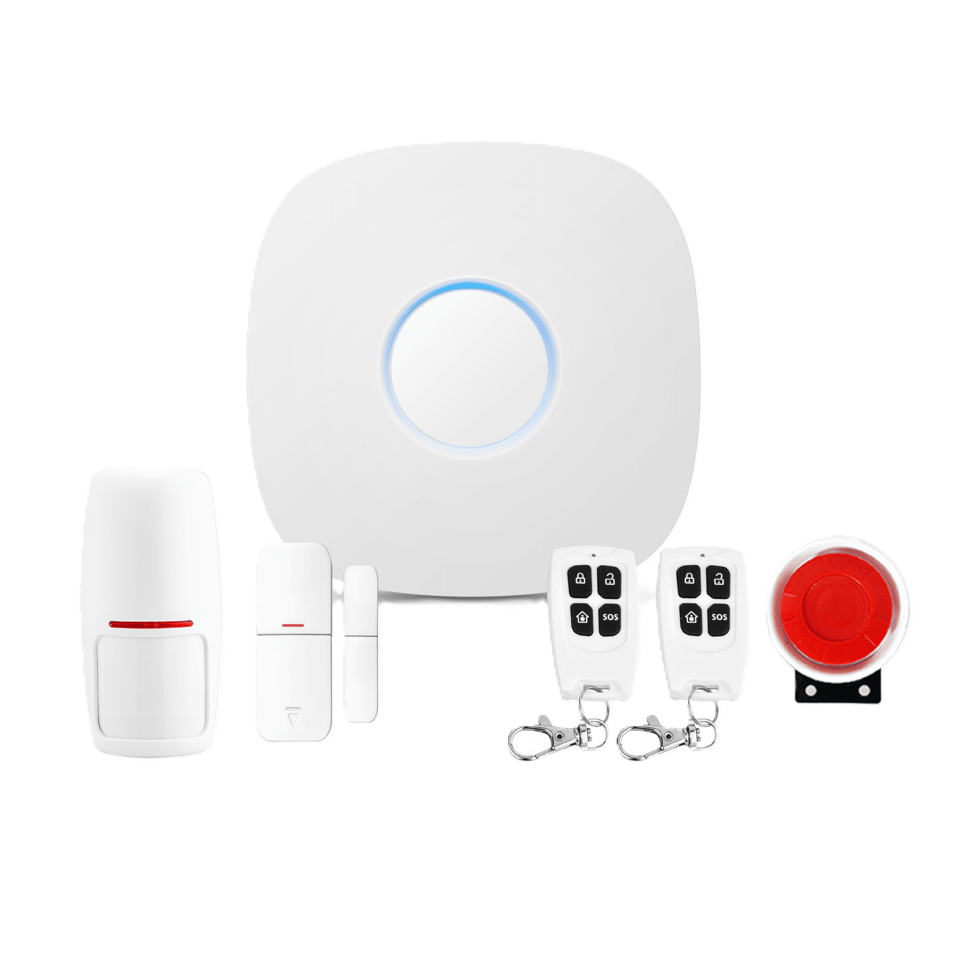 Alarm System